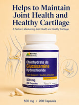 Glucosamine Hydrochloride 500 mg Capsules
