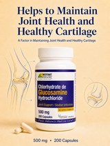 Glucosamine Hydrochloride 500 mg Capsules