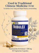 Tribulex Herbal Supplement Capsules